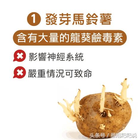 五个危险食物千万别给孩子吃,警惕天然有毒食物一览