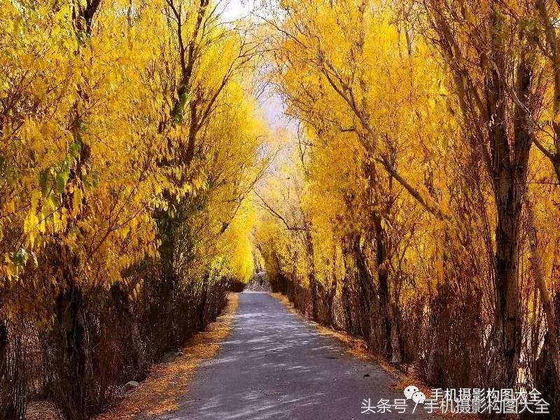 教你如何用手机拍出最好的照片,十个秘诀让你用手机拍出好照片