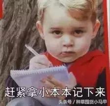 很火的洁面仪,超级好用的洁面仪