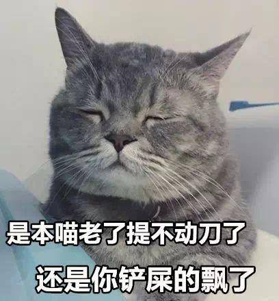 盘点给宠物绝育的铲屎官们,被铲屎官绝育的宠物