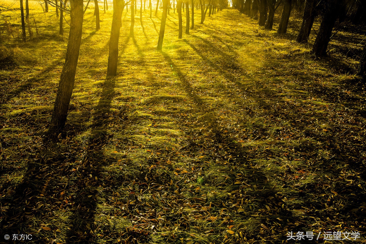 短篇温暖治愈语言,你最珍贵的暖心短篇