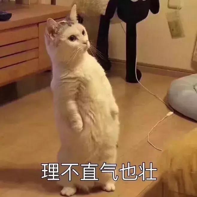 秋冬口红黄皮显白,最显白的秋冬口红好看到爆炸