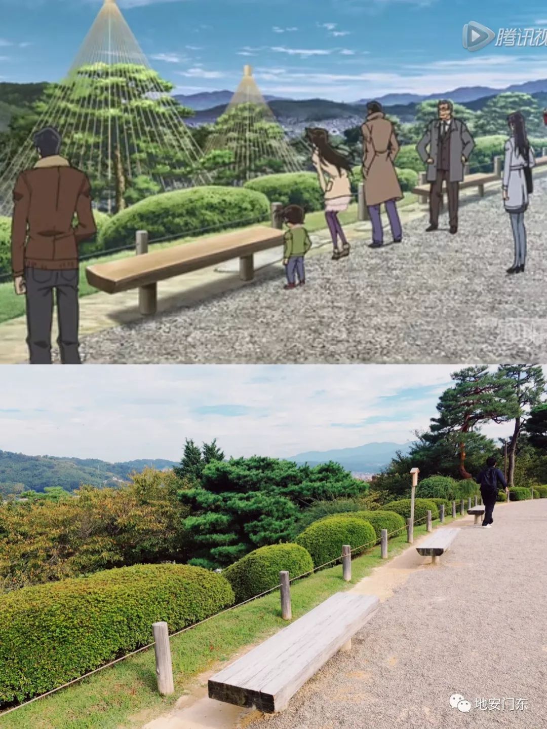 日本高品质小锦鲤,日本金泽市北陆