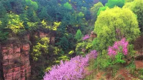 洛阳旅游景点特价门票,近期特价门票免费景点