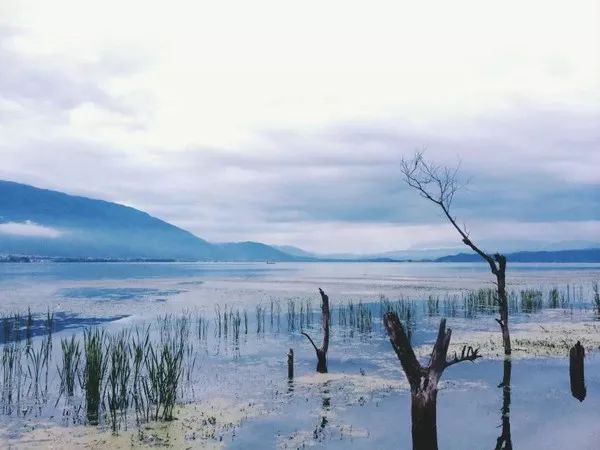 国内8个小众旅行地,十一小众冷门旅行地推荐