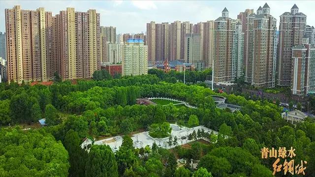 红蓝绿黑你喜欢什么色,红绿蓝清新配色