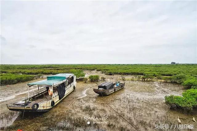 “走入百强县”系列——东兴：渔歌唱晚，大美边城