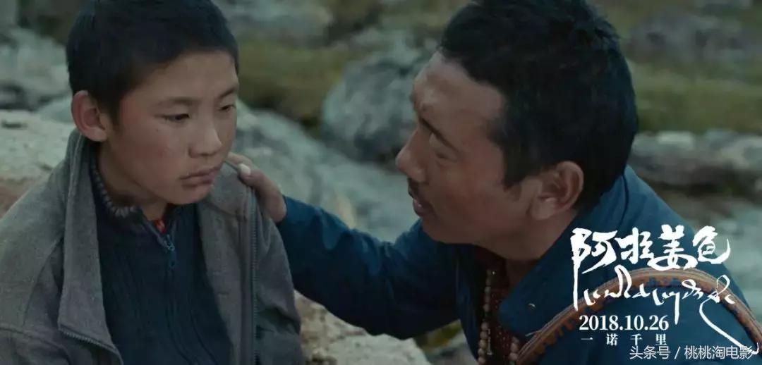 影向标第166期：《阿拉姜色》《铁血战士》《昨日青空》