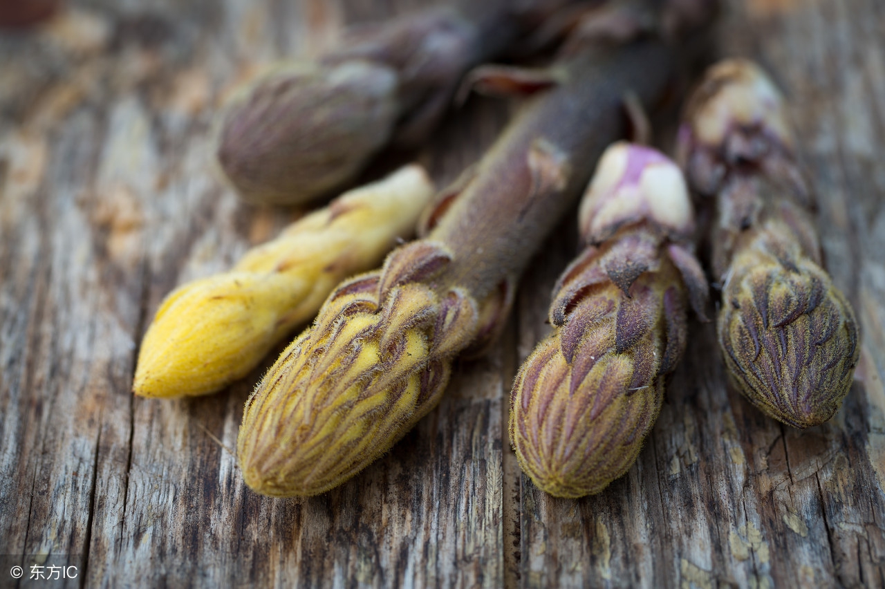 内蒙古阿拉善肉苁蓉直销,阿拉善野生肉苁蓉直播间