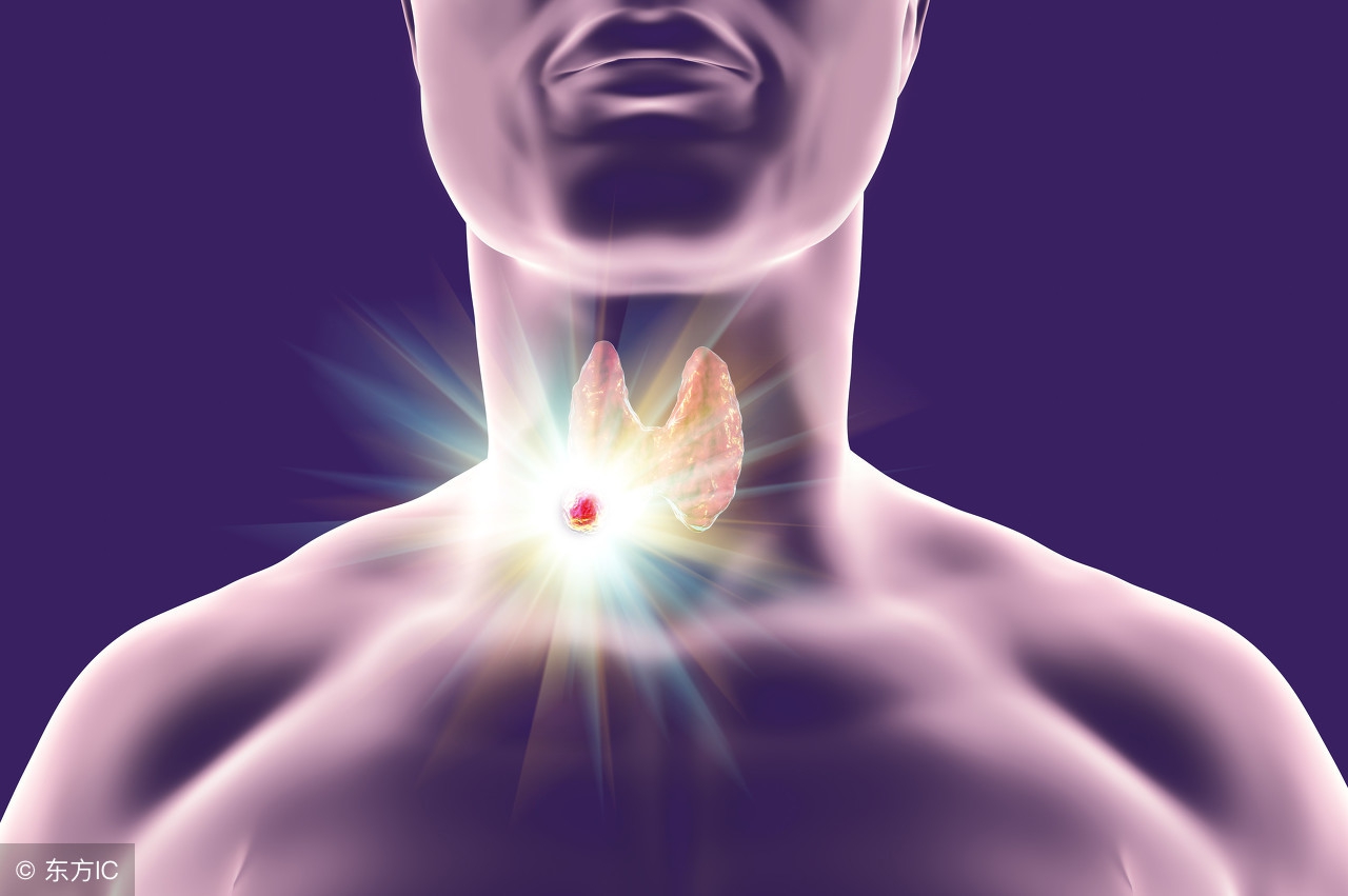 甲状腺乳头癌术后饮食应注意哪些,甲状腺术后为什么要吃无油饮食