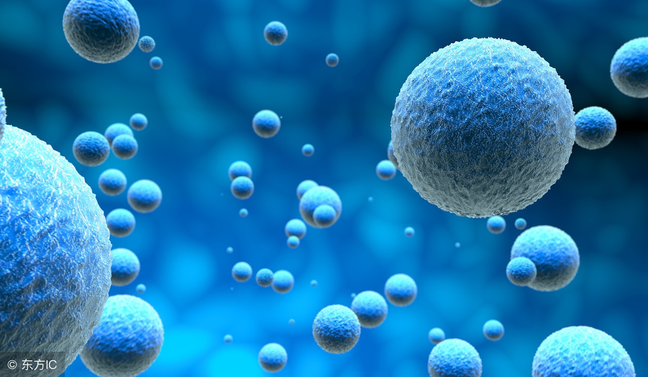 一哥排行榜：我国十大电影公司之（上影集团）