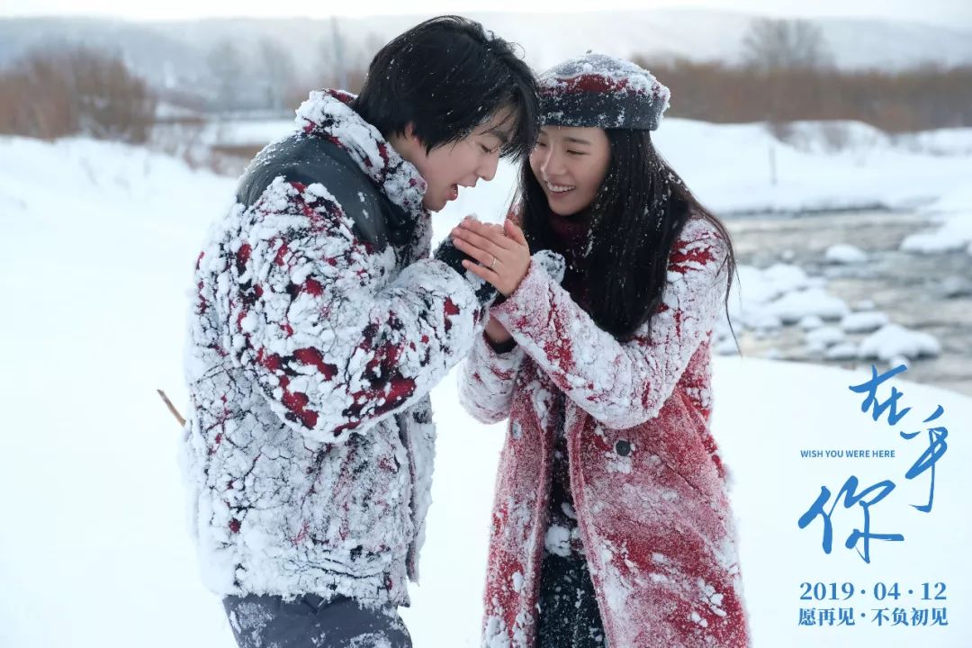 和俞飞鸿在雪国谈恋爱，还是上郑恺的恋爱培训班？|周末看啥片儿