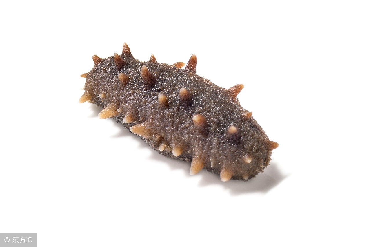 吃海参没有窍门，想要营养更好吸收，选海参时一点都不能出错