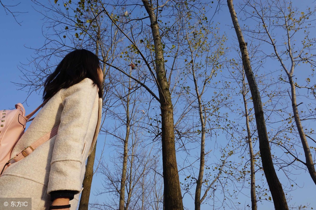 几时归去作个闲人对一张琴,做个闲人对一张琴一壶酒一溪云