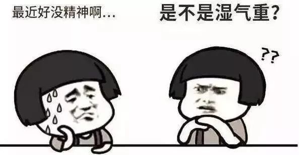 一夜春雨万物醒,一夜春雨滋润万物