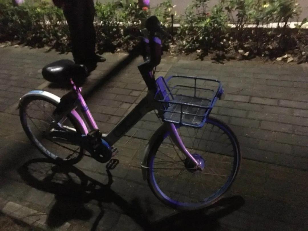 碰瓷*党**密谋4天来珠海食“大茶饭”！刚偷走粤C车牌，转眼遇上足球队被追满街跑！