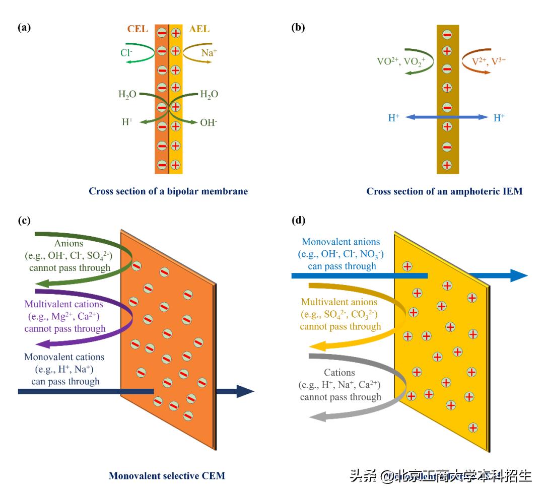 esi高被引论文入选,本科生esi高被引论文