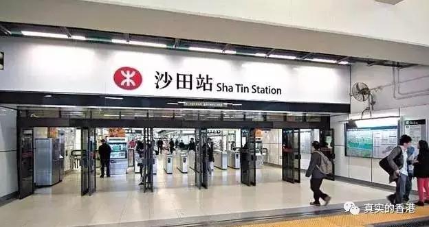 喜欢香港还是澳门,我为什么喜欢深圳