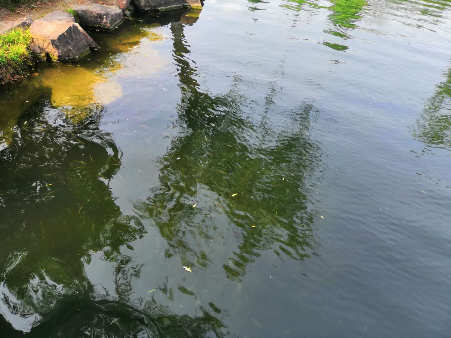 刷白条的正确方法和技巧,在线下刷白条有什么影响