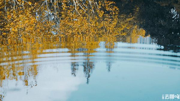 上海国庆小众旅行攻略路线图,上海出发国庆旅游攻略推荐