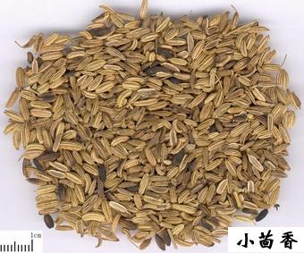 大厨详解常用香料配方,厨房香料大全图解及功效