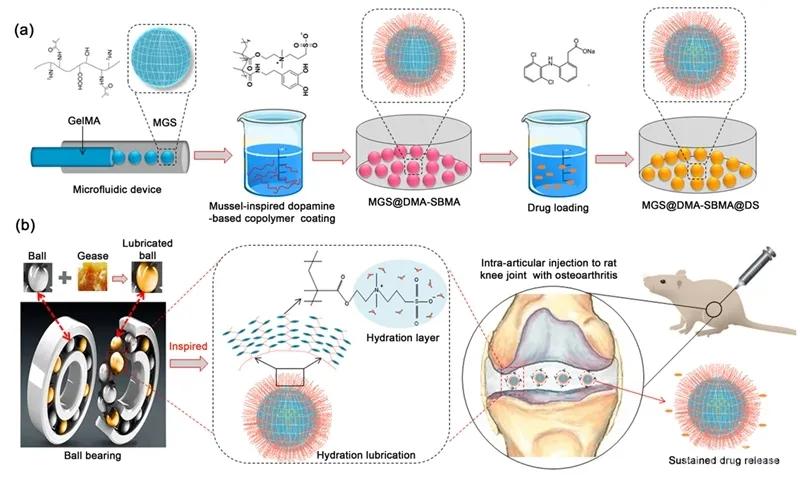 神奇磁浮球,神奇微球如何颠覆传统医美