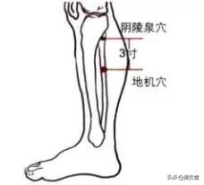 夏天艾灸好还是冬天艾灸好,春天艾灸好还是夏天艾灸好