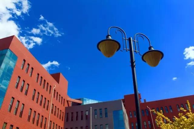 辽宁中医药大学杏林学院规模,辽宁中医学院杏林学院的排名