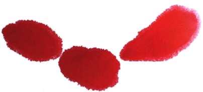 怎么画梅花和梅花树,写意画梅花的画法视频