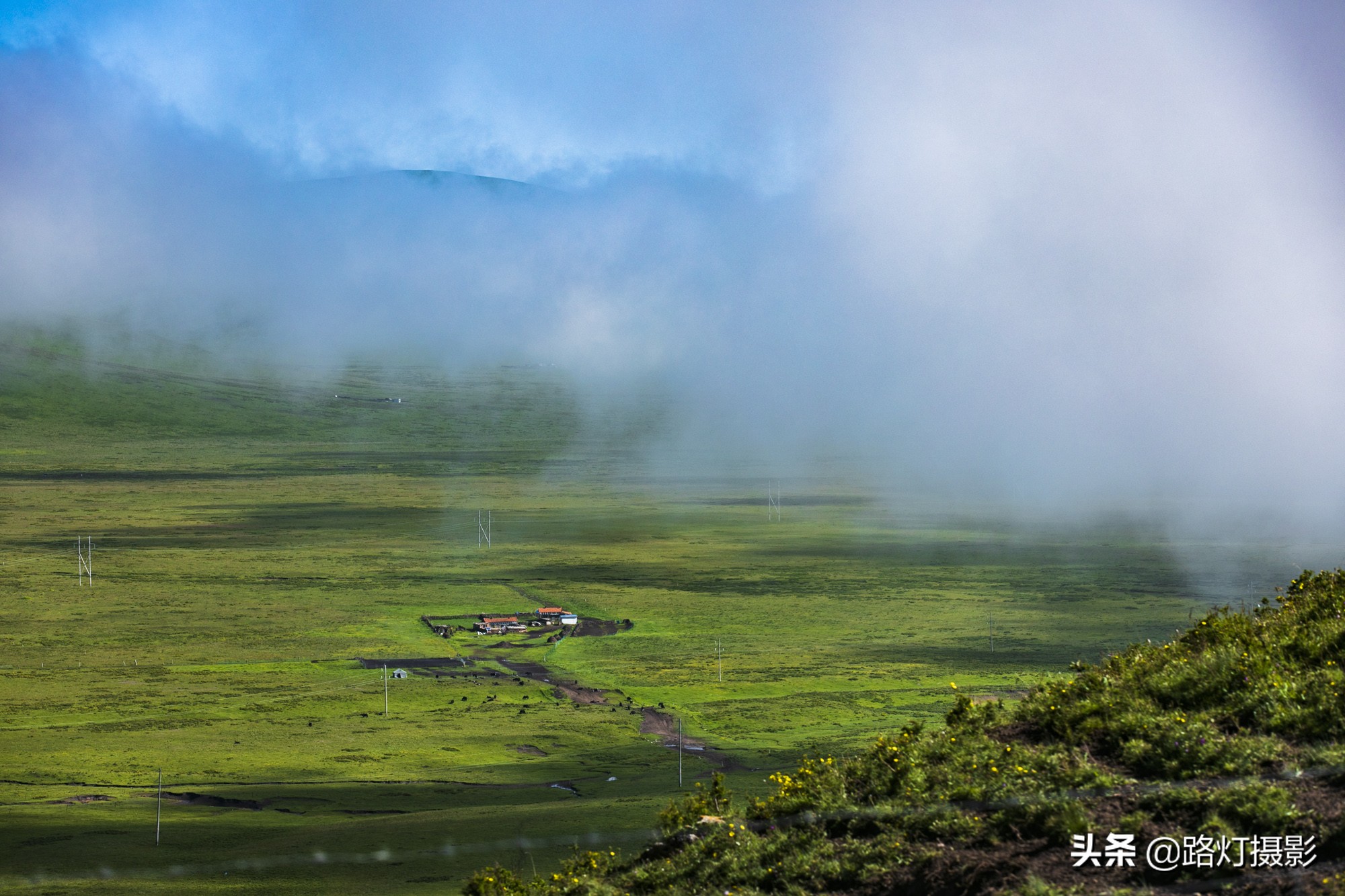 惊艳！八月最佳旅行地，“绝色甘南”美成仙境，所有景区免门票