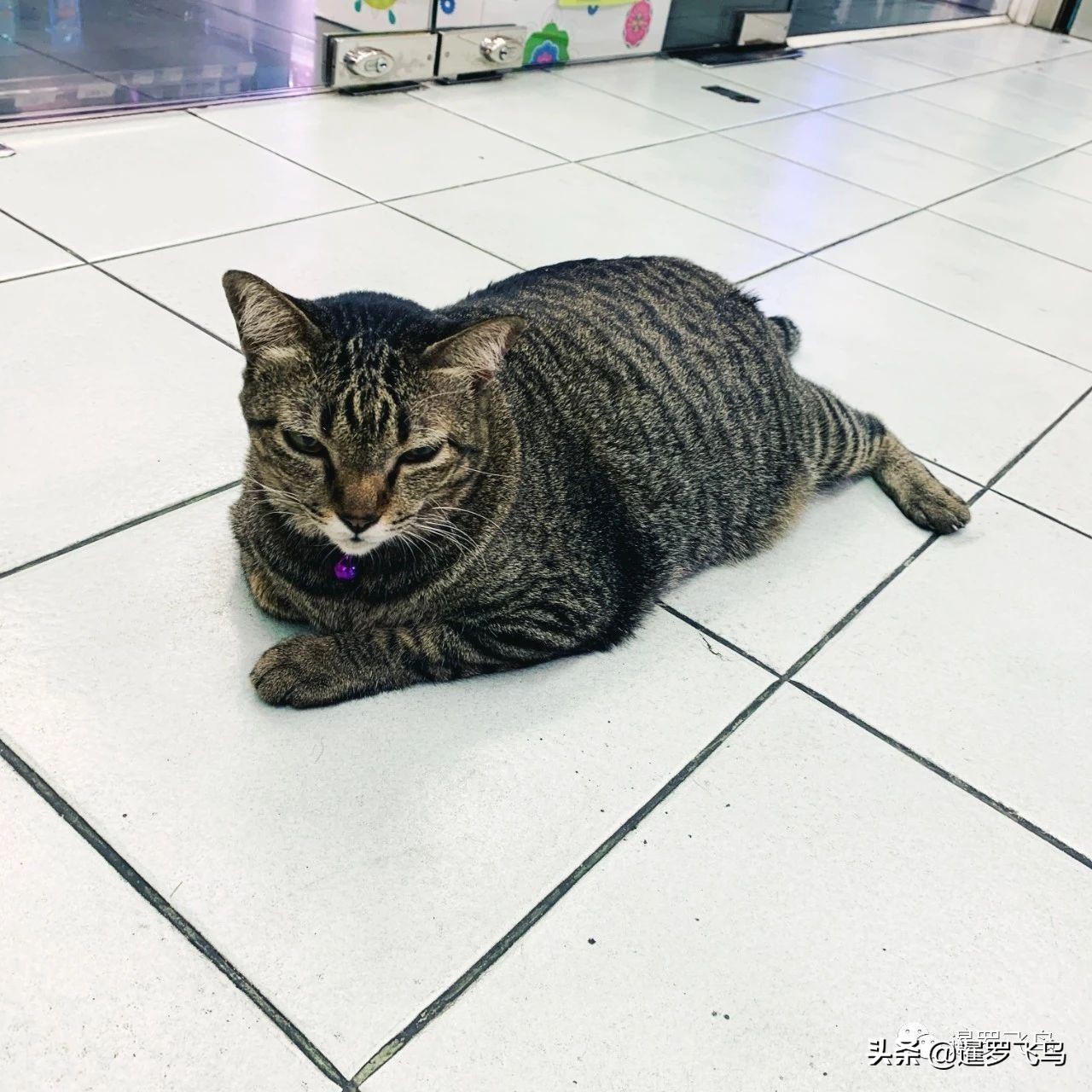 泰国疫情怎么那么严重了,泰国目前疫情怎么样