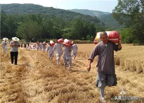 少林寺该何去何从,少林寺为什么能走出国门