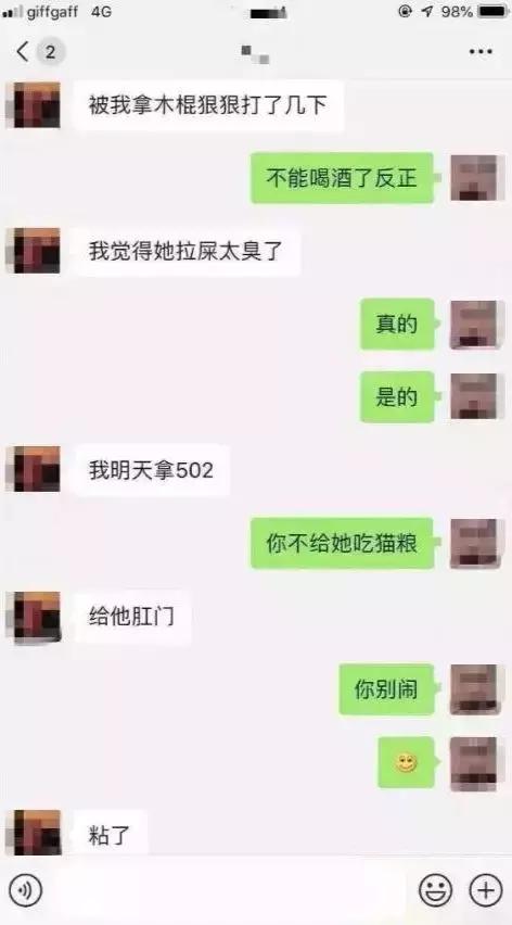 大四学生虐猫事件真相,中国留学生美国虐待案后续