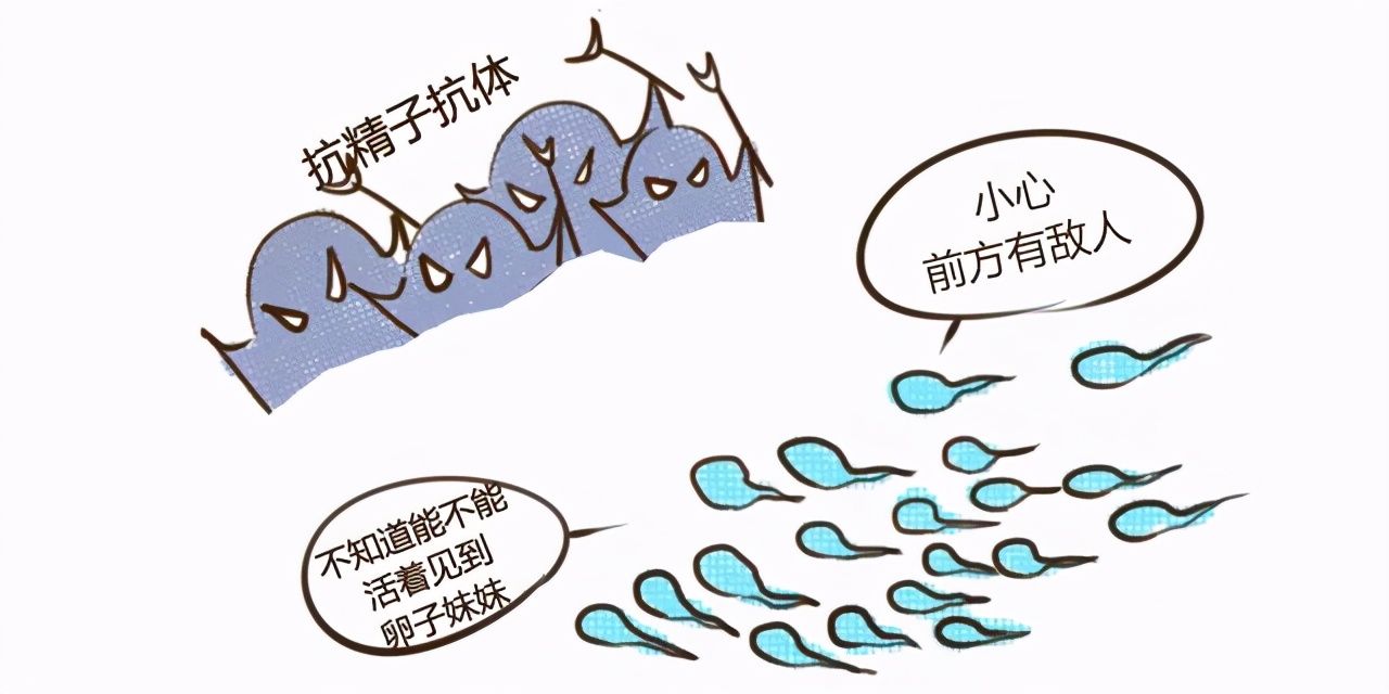 胎停育有几个原因,12周胎停育可能是哪些原因