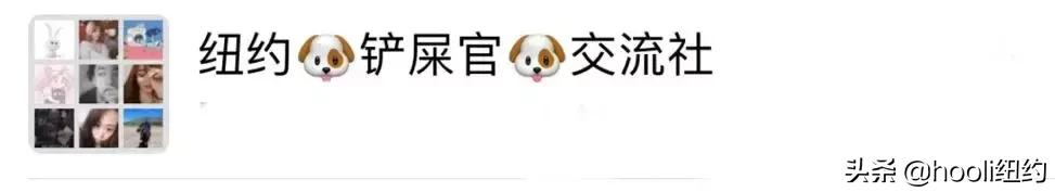 纽约最全群信息总揽|指南在手,世界我有