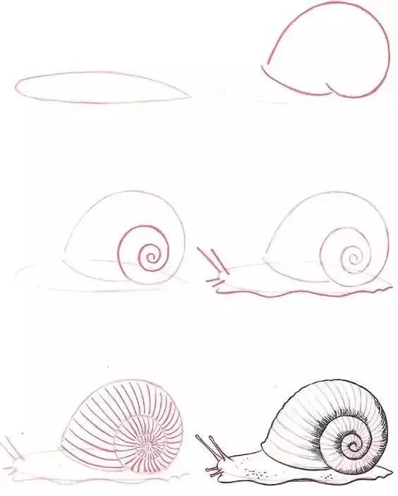 1-10数字动物简笔画图片大全,简笔画小动物100种可爱海底动物