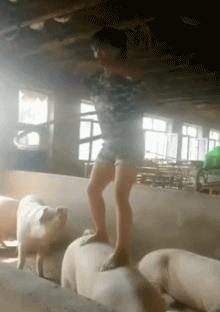 每日一笑二十四期,每日一笑深度解读