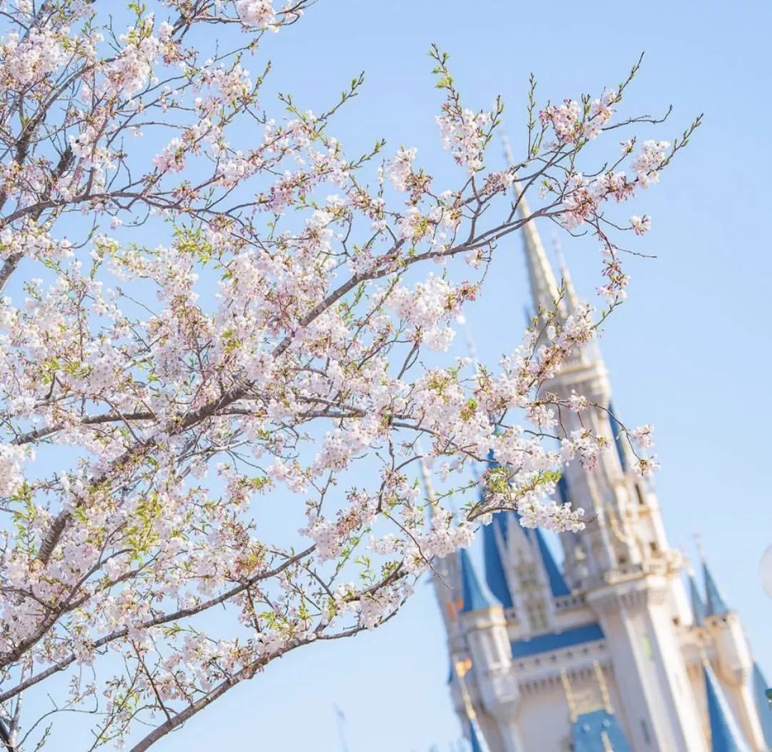 迪士尼必打卡的十个地方,打卡迪士尼纯玩三日