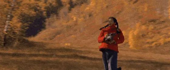 章子怡汪峰声明分析,章子怡庆祝结婚6周年