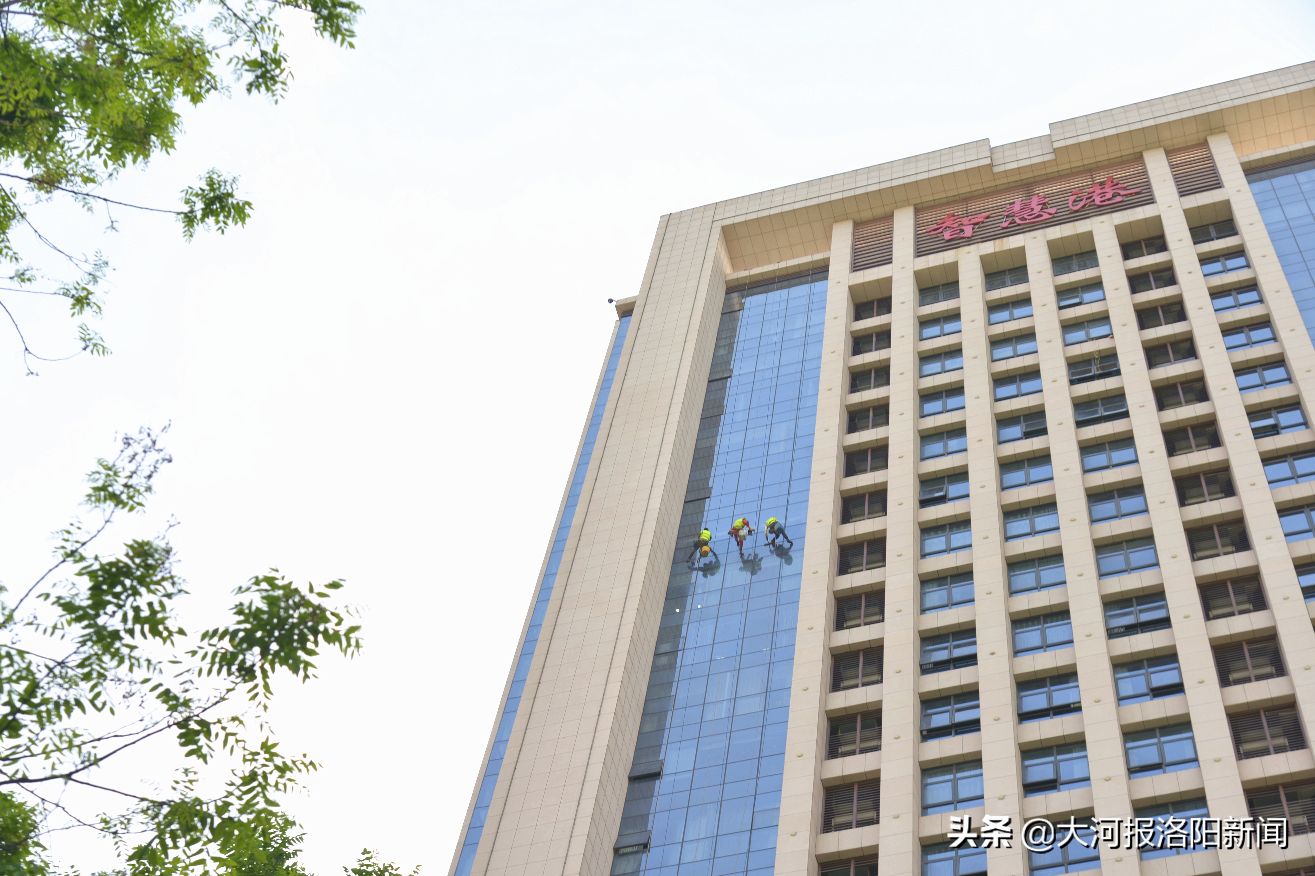 蜘蛛人200米高空作业,10m蜘蛛人高空作业价格