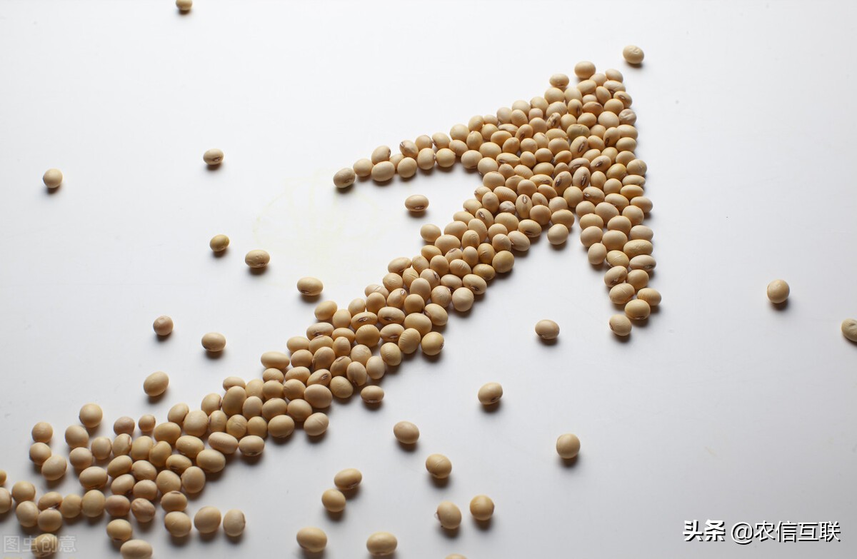 俄罗斯对大宗商品出口增加关税,俄罗斯对出口玉米征收关税