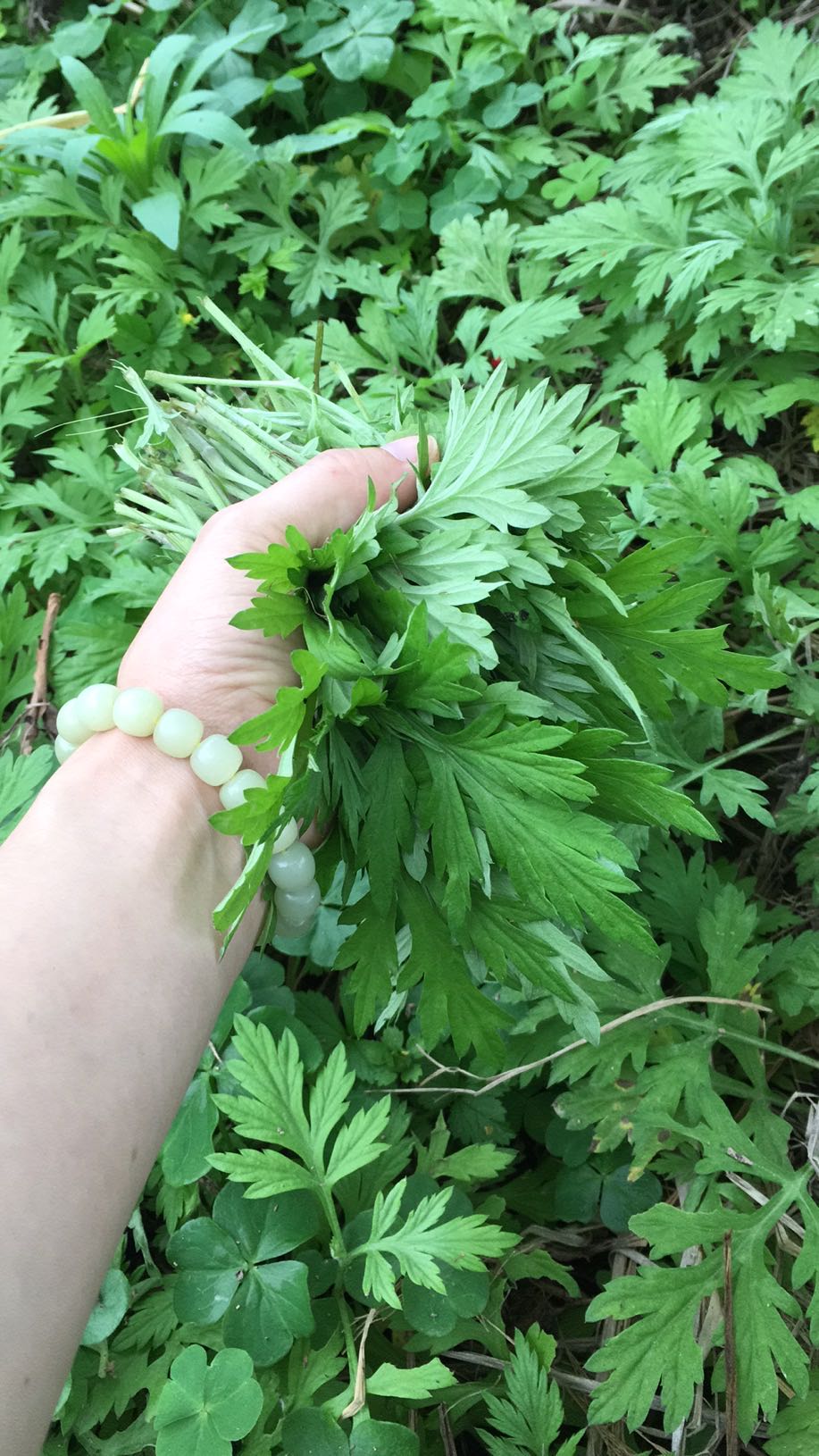 小孩脑袋诡异向后转了180°,居然说是小孩火眼低,压不住邪……