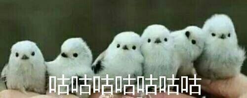 给你们推荐三本被名字耽误的小说,盘点几本被名字耽误的精彩小说