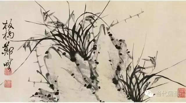 郑板桥画的是兰花还是兰草,郑板桥画的兰