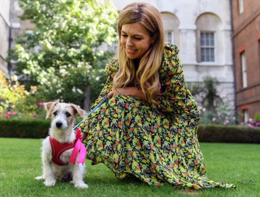 英国首相的出轨事件,英国首相几次婚姻