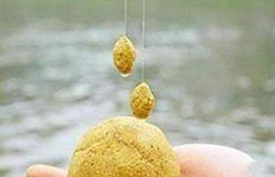 野钓鲫鱼什么季节用行程漂,野钓鲫鱼什么季节最合适