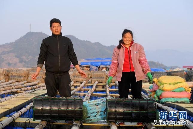 我国脱贫攻坚伟大成就视频,新时代脱贫攻坚的伟大成就