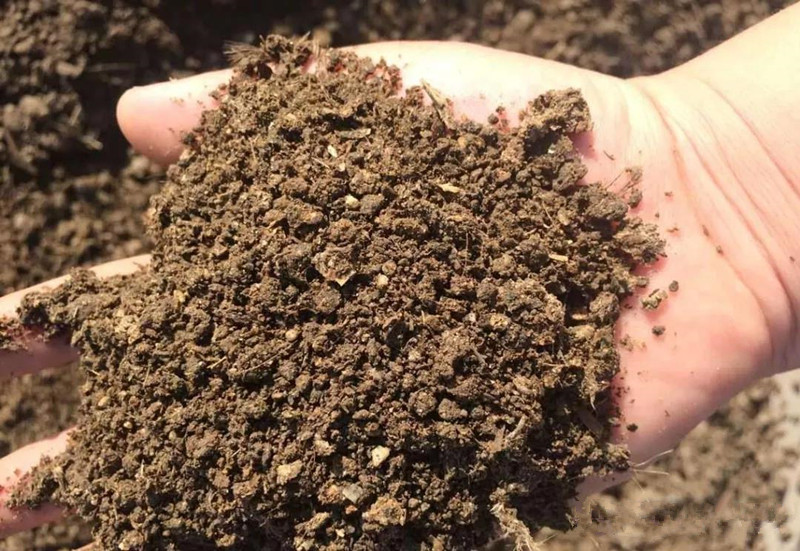 牛粪怎么发酵成有机肥视频,牛粪怎么发酵做肥料