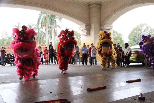 新会碧桂园凤凰酒店喝茶,开平碧桂园凤凰酒店自助餐