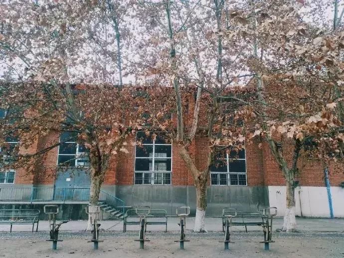 四川乐山金口河风景图片,四川乐山金口河老照片